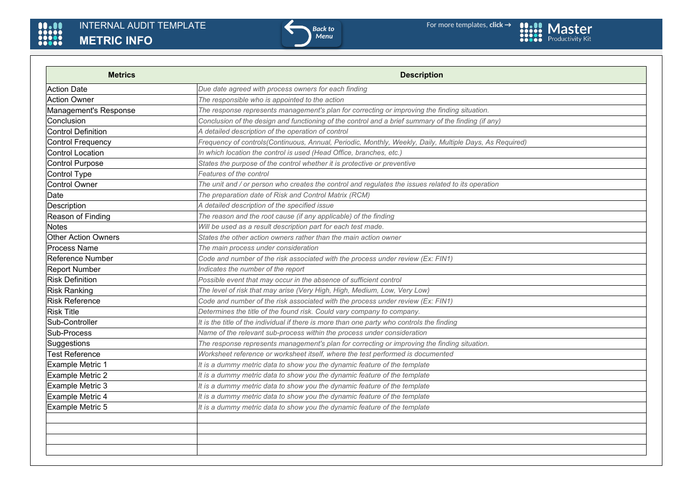 Internal Audit Excel Template workbook preview