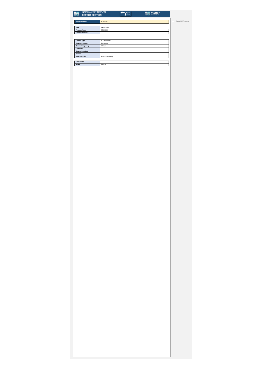 Internal Audit Excel Template workbook preview 5