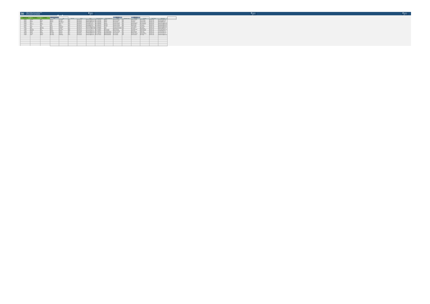 Employment Application Form Excel Template workbook preview 4
