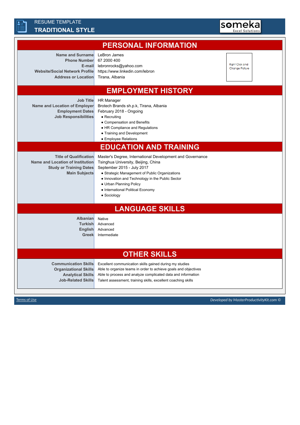 Automated Resume Excel Template workbook preview 3