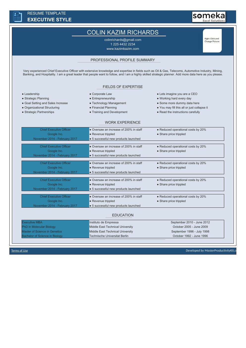 Automated Resume Excel Template workbook preview