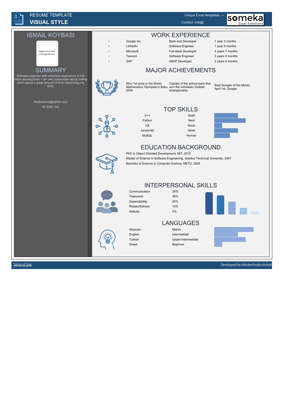 Automated Resume Excel Template workbook preview 5